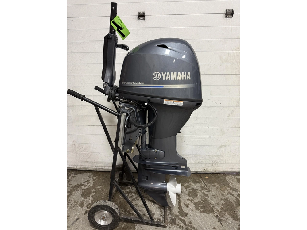 2024 Yamaha F50lhb alt