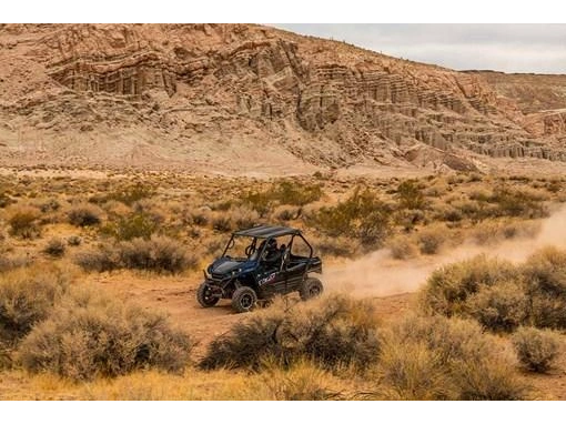 2025 Kawasaki Teryx S Le alt