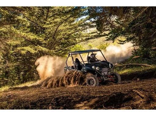 2025 Kawasaki Teryx S Le alt