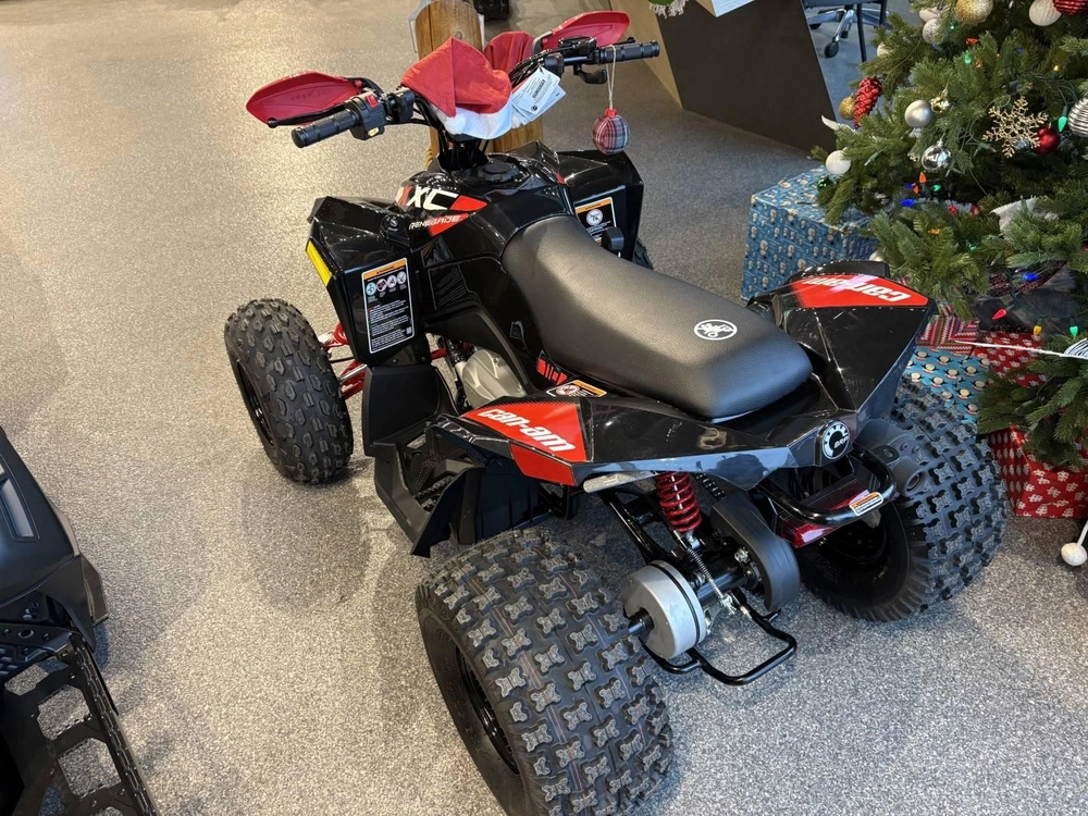 2026 Can-am Renegade X Xc 110 Efi-3ltb alt