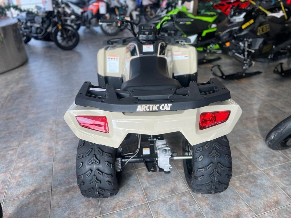 Arctic Cat Alterra 300 2024 alt