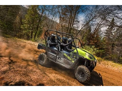 2025 Kawasaki Teryx 4 alt