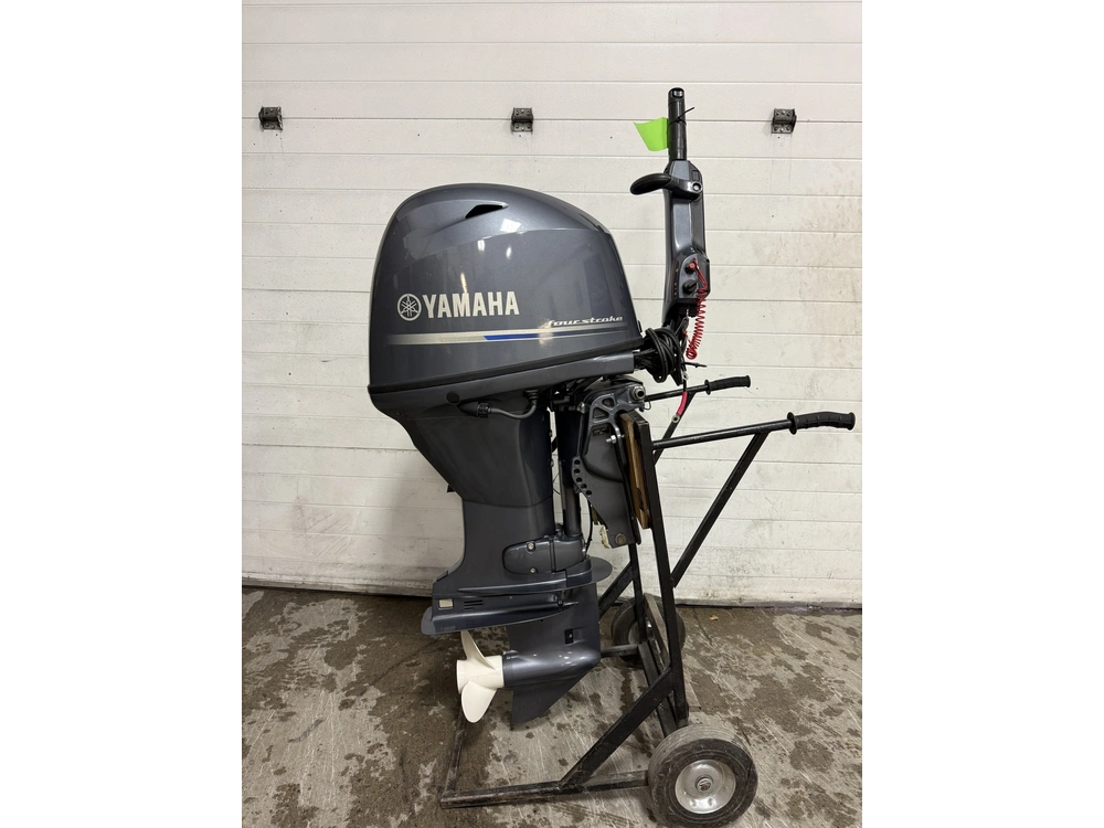 2024 Yamaha F50lhb alt