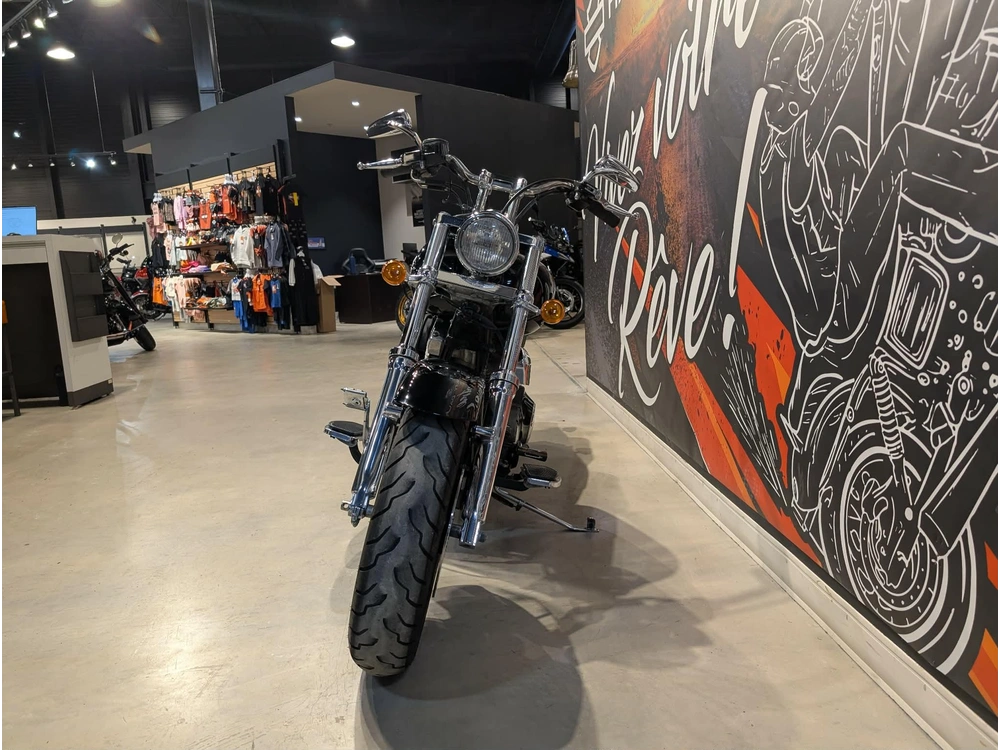 Harley-davidson Fxsti 2006 alt