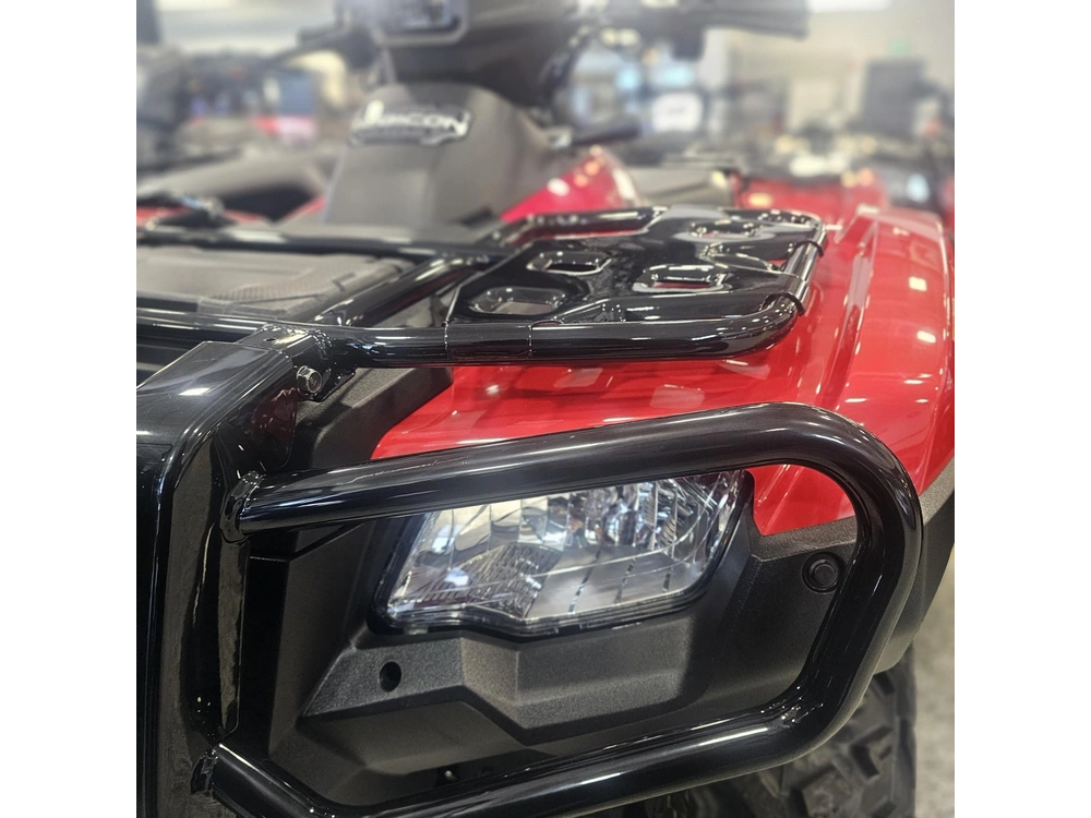 2026 Honda Fourtrax Rubicon 700 4x4 Automatic alt