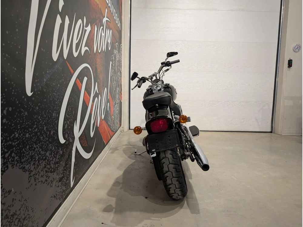 Harley-davidson Fxsti 2006 alt