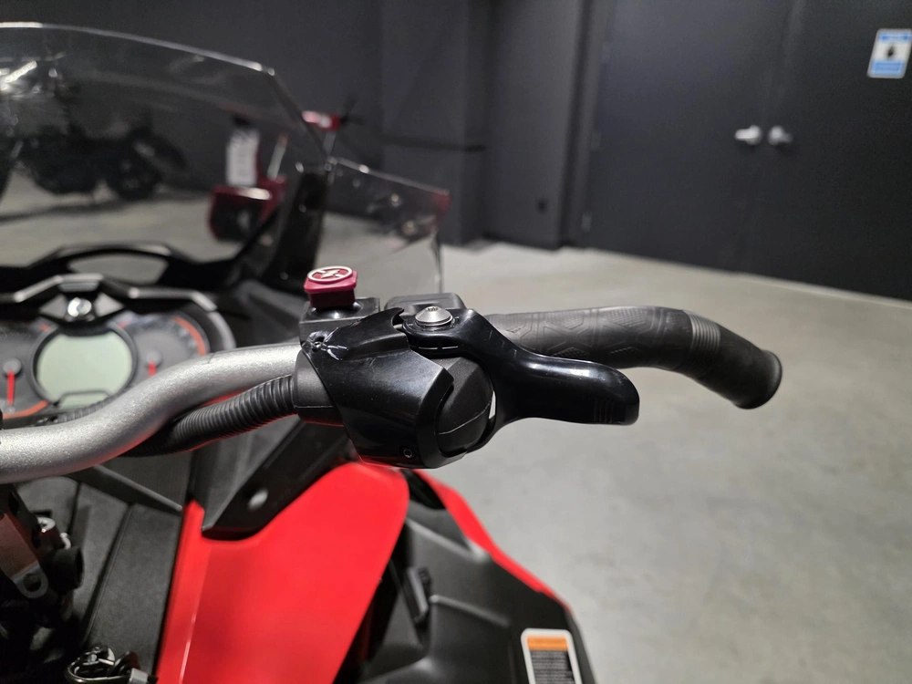 Ski-doo Renegade Enduro 900 Ace 2019 alt