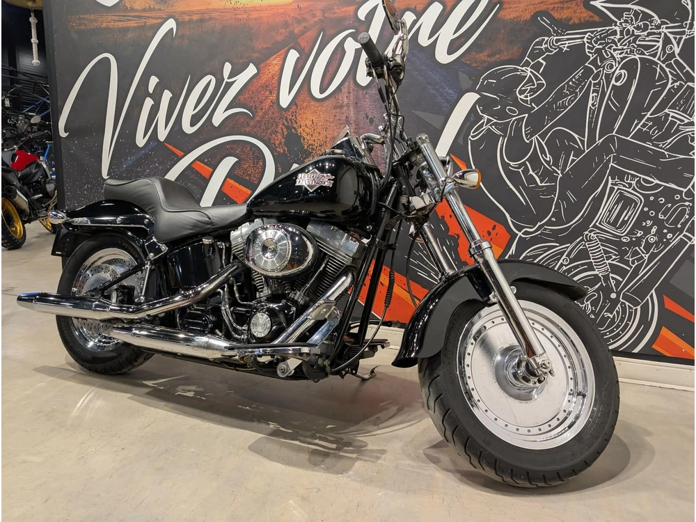 Harley-davidson Fxsti 2006 alt
