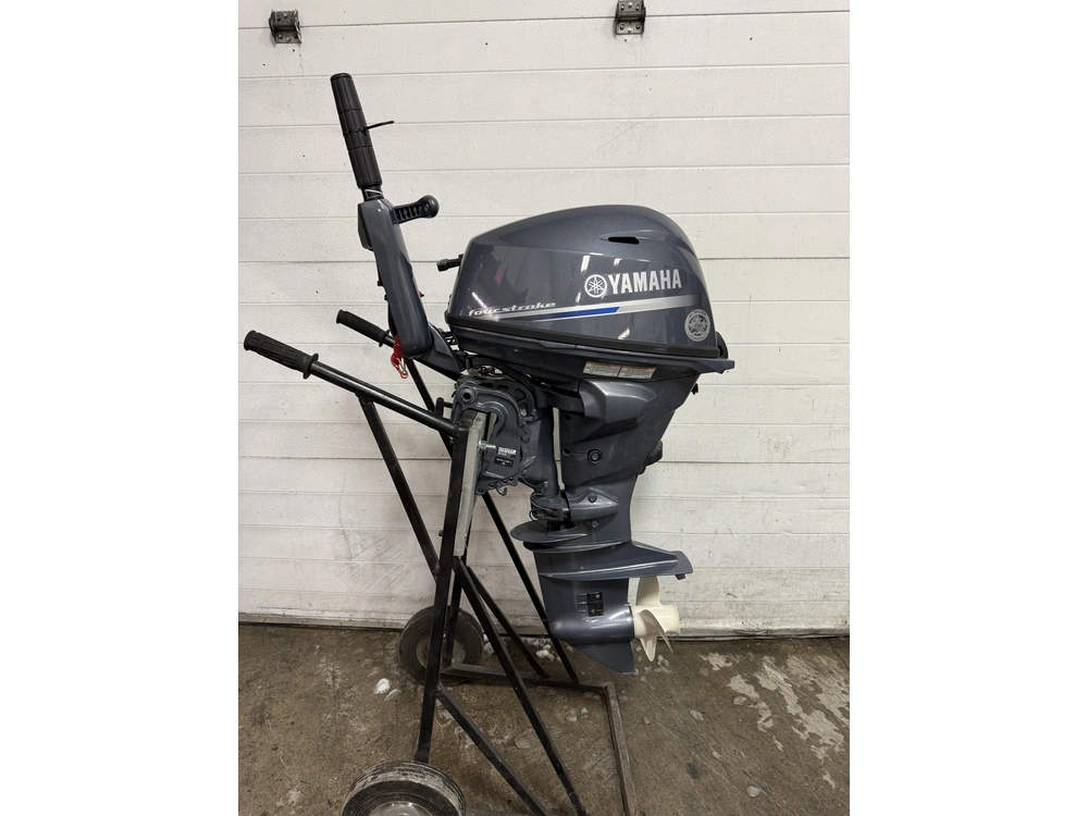 2024 Yamaha F20smhb alt