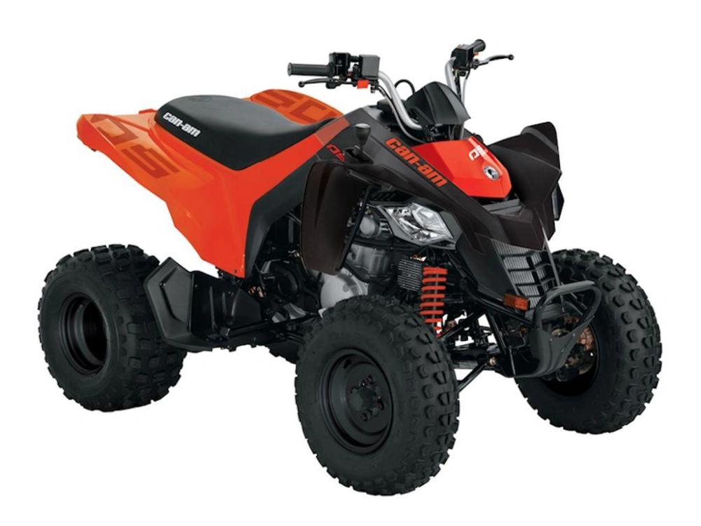 2026 Can-am Ds 250 alt