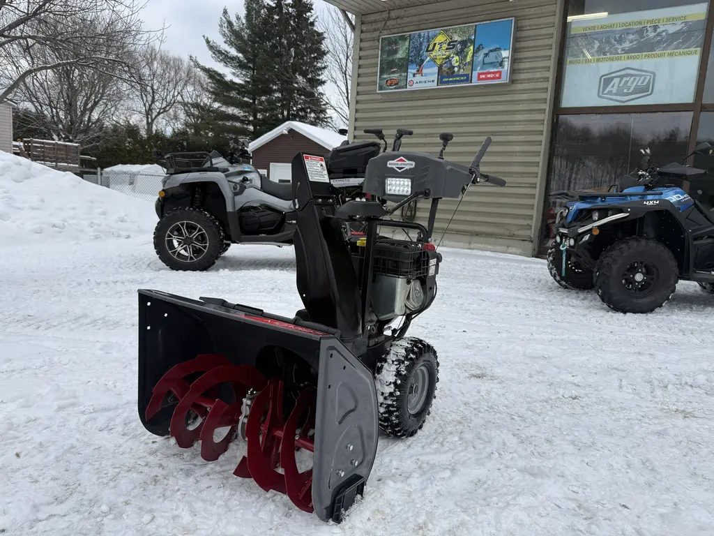 2024 BRIG Briggs & Stratton MD1527