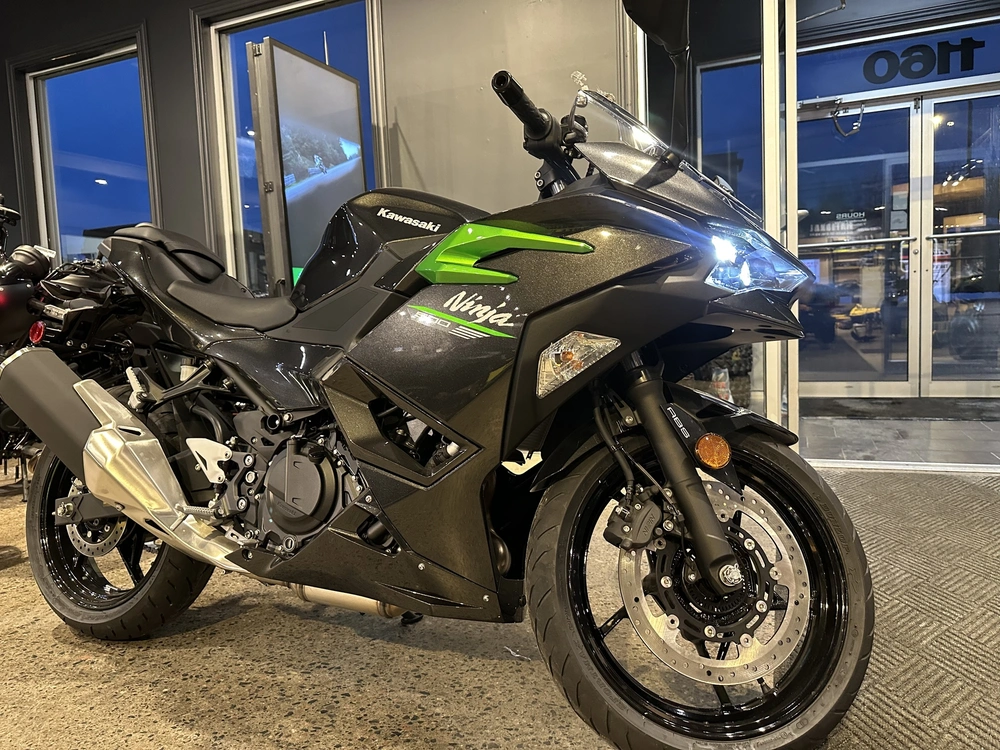 2025 Kawasaki Ninja 500 alt