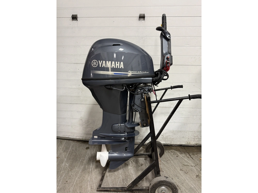 2024 Yamaha F20smhb alt