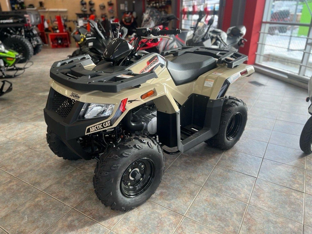 Arctic Cat Alterra 300 2024 alt