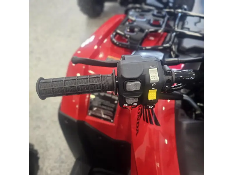 Honda FOURTRAX RUBICON 700 4x4 AUTOMATIC 2026