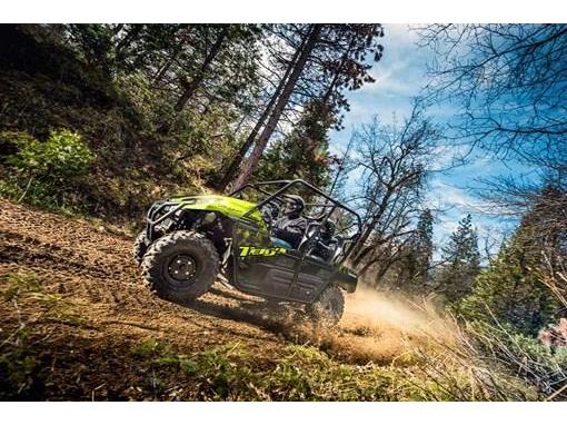 2025 Kawasaki Teryx 4 alt