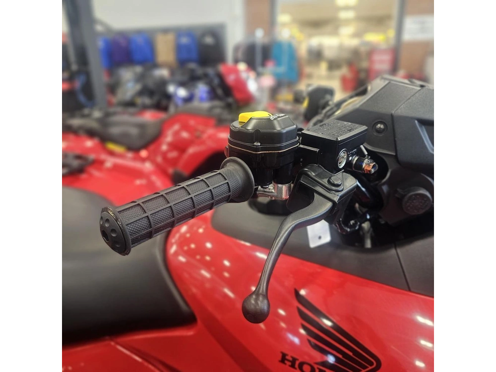 2026 Honda Fourtrax Rubicon 700 4x4 Automatic alt