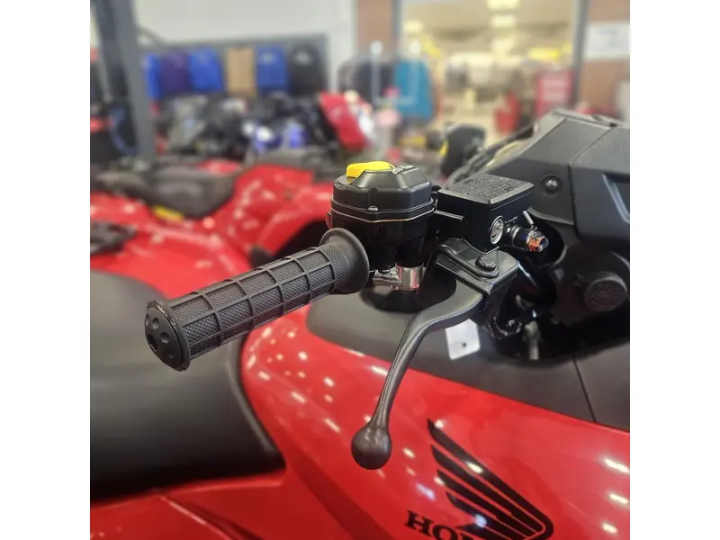 Honda FOURTRAX RUBICON 700 4x4 AUTOMATIC 2026