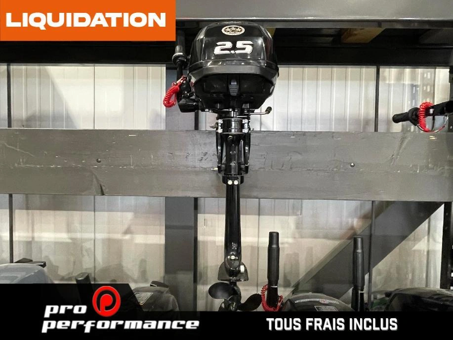 2022 Suzuki Moteur Hors-bord Df2.5s alt