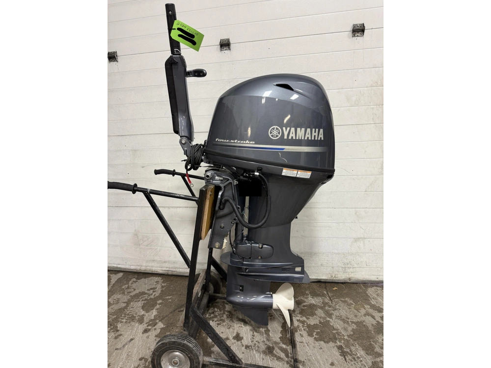 2024 Yamaha F50lhb alt