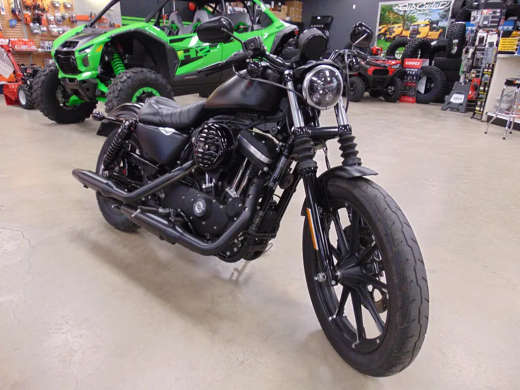 Harley-Davidson SPORTSTER 883 2021 - IRON