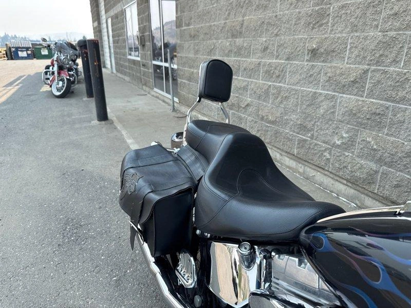 2004 Harley-davidson Fxsti - Softail® Standard alt