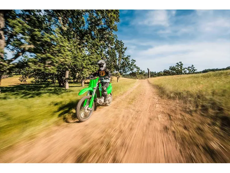 Kawasaki KLX300R 2027