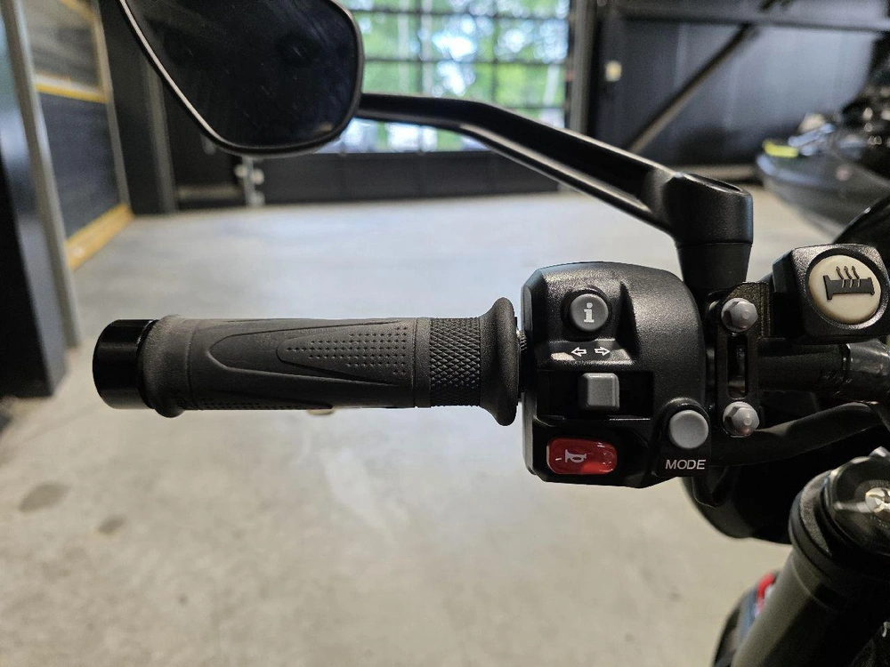 Triumph Street Triple 2020 alt
