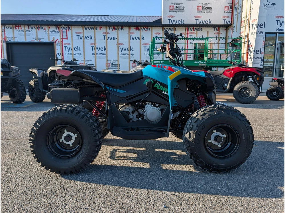 2026 Can-am Renegade 110 Efi alt