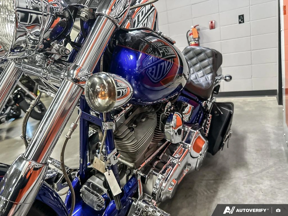2004 Harley-davidson Flhxse2 alt