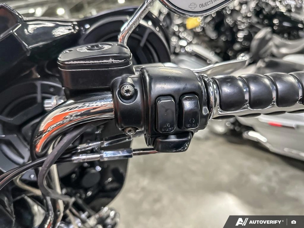 2009 Harley-davidson Flstc alt