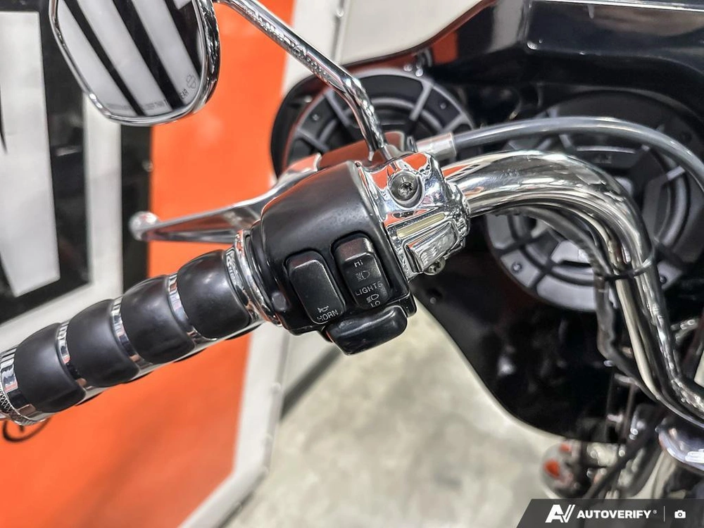 2009 Harley-davidson Flstc alt