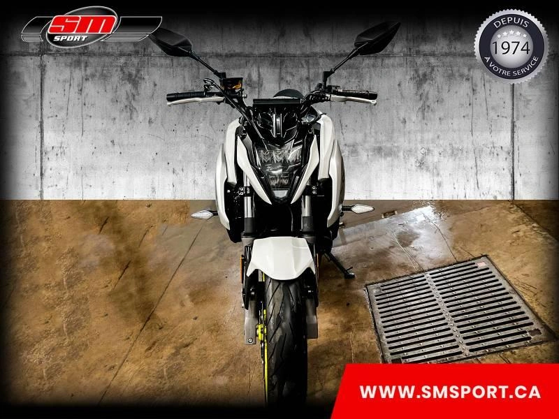Cfmoto Nk 650 2023 alt