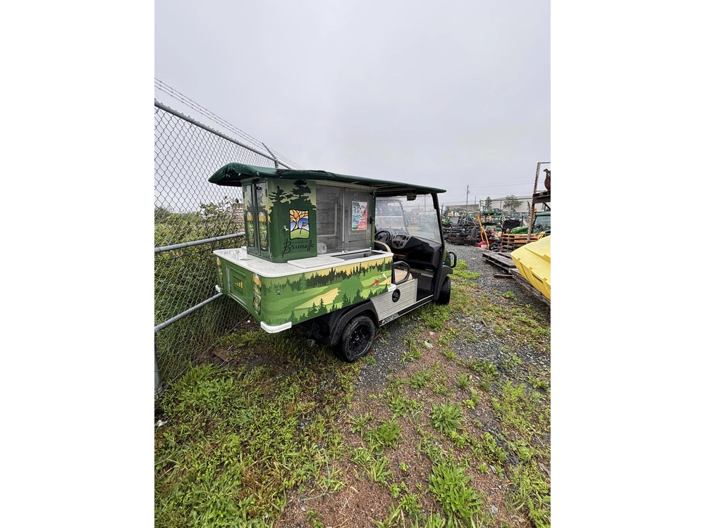 2015 Club Car Carry All Express alt