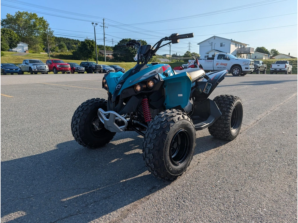 2026 Can-am Renegade 110 Efi alt