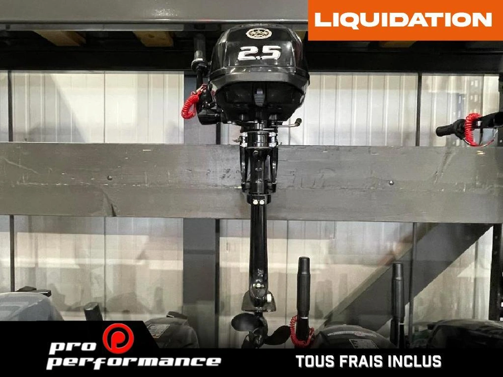 Suzuki Moteur Hors-bord Df2.5s 2022 alt