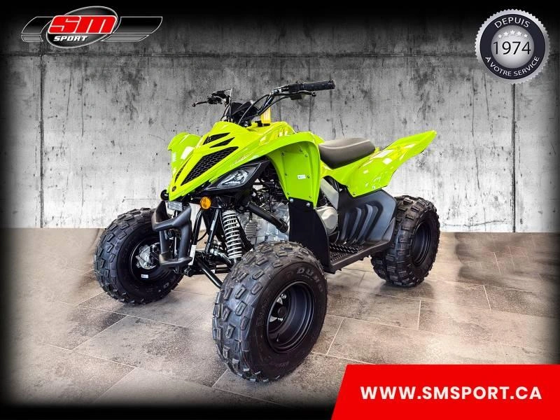 2026 Yamaha Raptor 110 alt