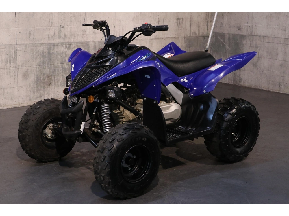 Yamaha Raptor 110 2025 alt
