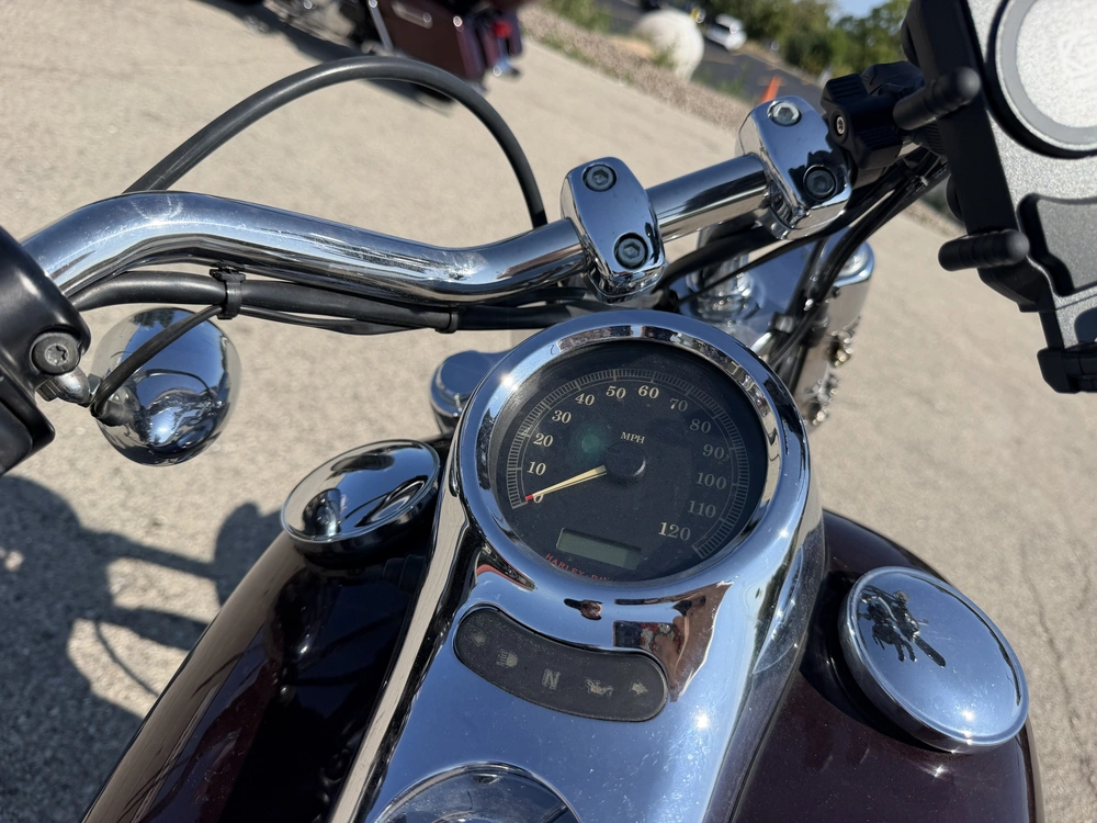 2007 Harley-davidson Fxstd alt