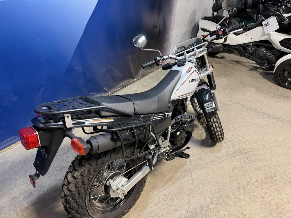 Yamaha Tw200 Tw 200 2024 alt