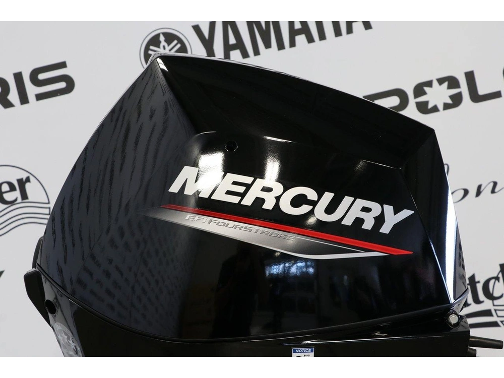 Mercury 30elpt Démarreur Électrique, Pied Long (20 Pouces) Enr. 2027 alt