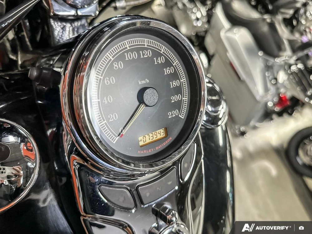 2009 Harley-davidson Flstc alt