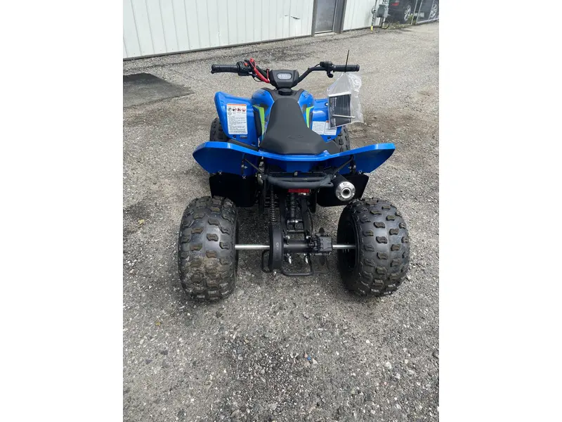 2026 Cfmoto Cforce 110 Classic alt