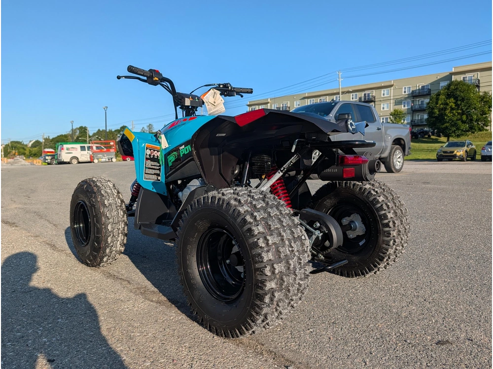 2026 Can-am Renegade 110 Efi alt