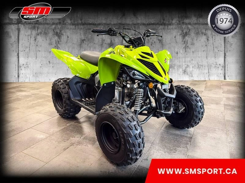 Yamaha Raptor 110 2026 alt