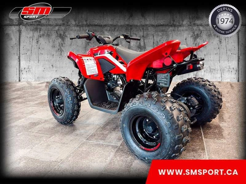 2026 Cfmoto Cforce 110 Classic alt
