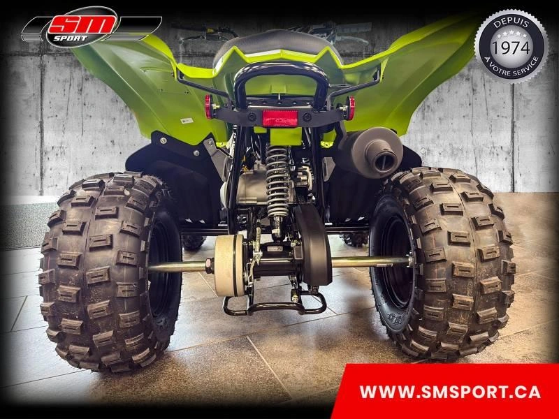 2026 Yamaha Raptor 110 alt