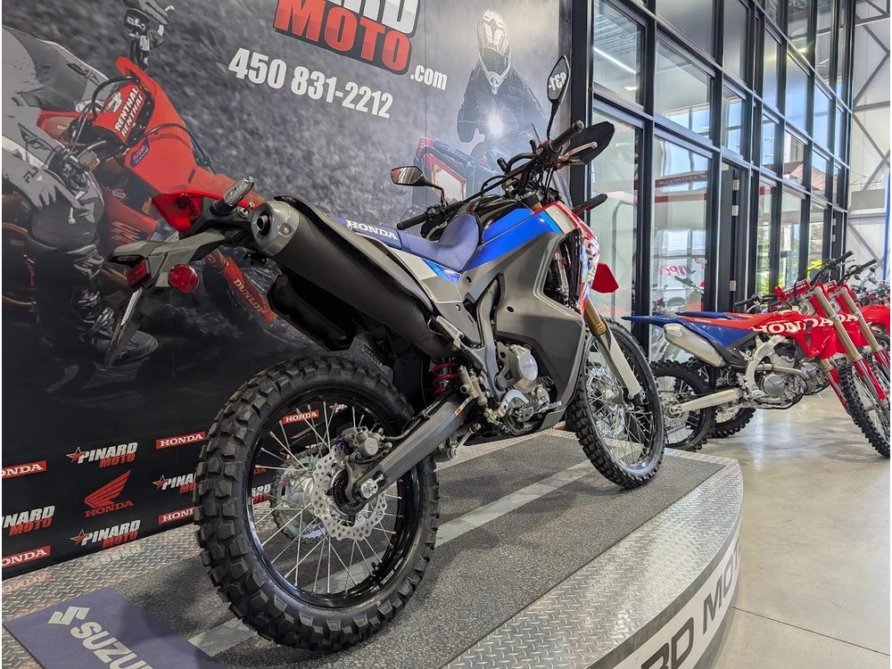 Honda Crf300lra Rally 2026 alt