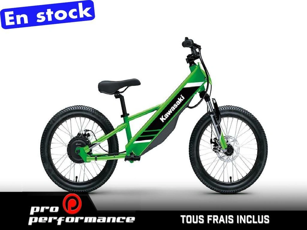 Kawasaki Elektrode 20 2025 alt