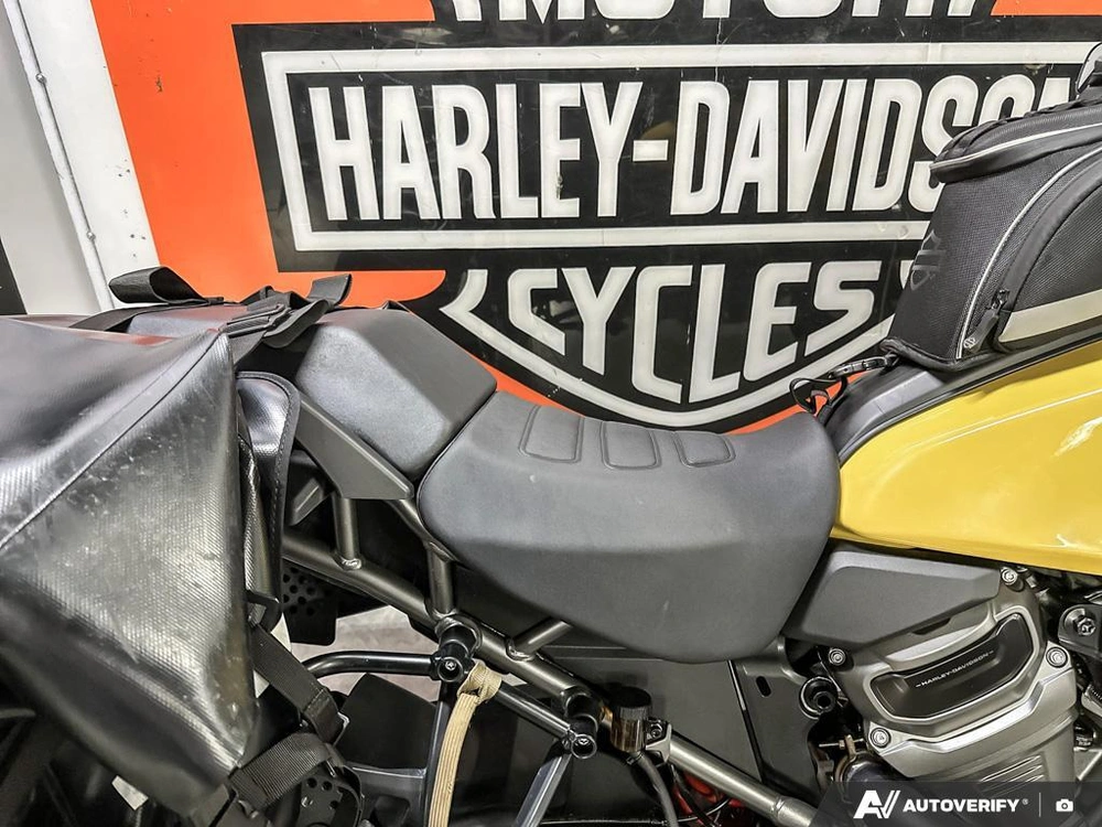 2023 Harley-davidson Pan America Special alt